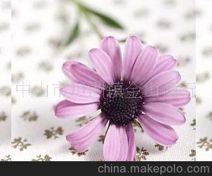 專業(yè)供應(yīng)玻璃紙(重點(diǎn)推薦,歡迎來電咨詢)