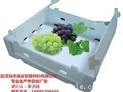 湖北哪里有供銷品質優良的塑料中空板水果蔬菜箱 pp中空板