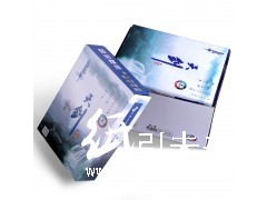 晨鳴天劍80g  A4復印紙10包/箱  A3復印紙5包/箱 五大箱起包郵